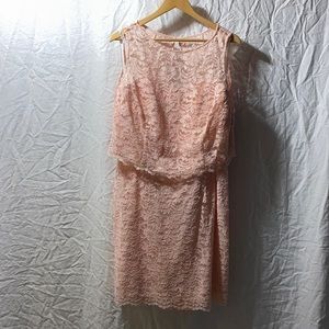 Mother of the bride pink lace dress, David’s Bridal, size 18